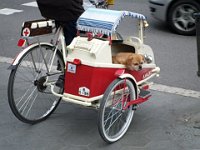 foto 100